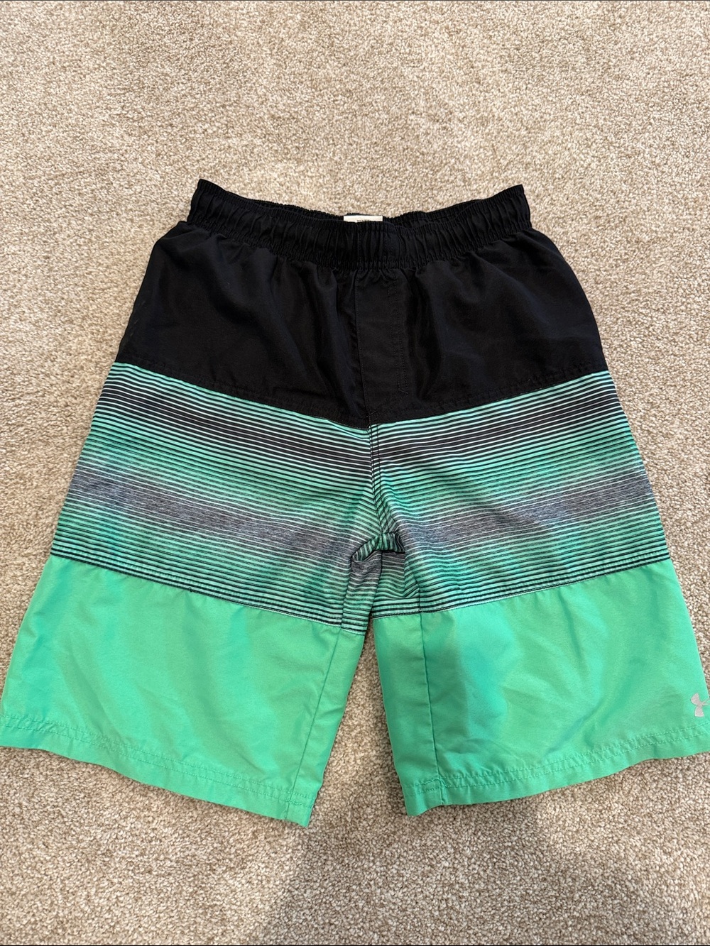 Under Armour Black Swim Shorts with Mint Green
